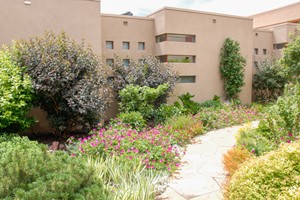 All About Xeriscape